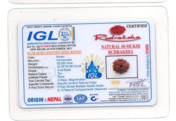 10 Mukhi Nepali Rudraksha Pendant For Men & Women - Image 4
