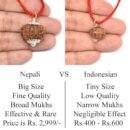 10 Mukhi Nepali Rudraksha Pendant For Men & Women