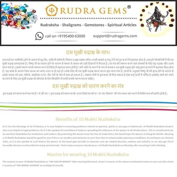 10 Mukhi Nepali Rudraksha Pendant For Men & Women - Image 6