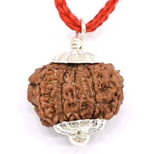 10 Mukhi Nepali Rudraksha Pendant For Men & Women
