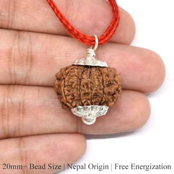 10 Mukhi Nepali Rudraksha Pendant For Men & Women - Image 3