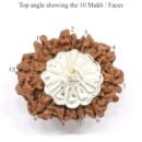 10 Mukhi Nepali Rudraksha Pendant For Men & Women