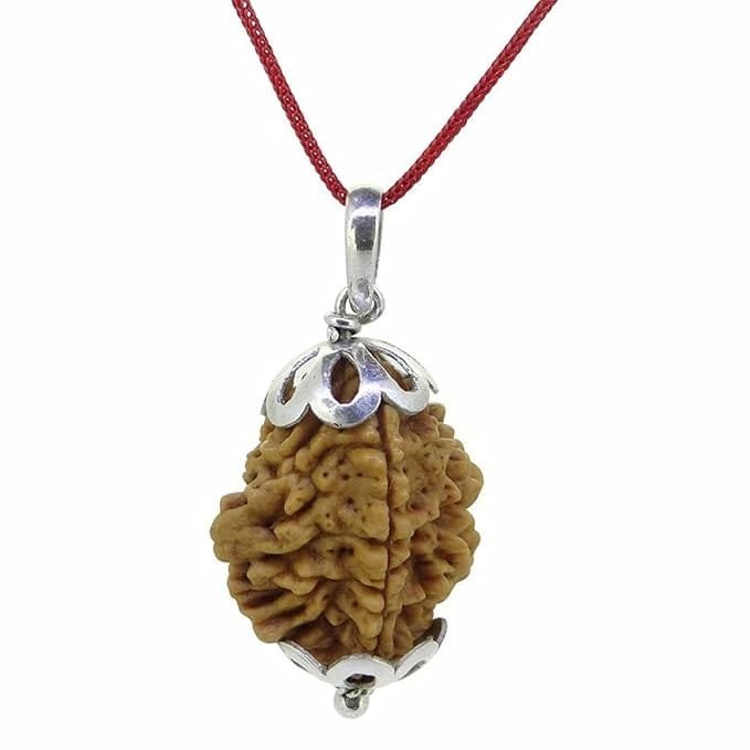 2 Mukhi Napali Rudraksha Pandant For Man And Woman - Image 3