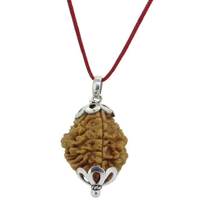 2 Mukhi Napali Rudraksha Pandant For Man And Woman - Image 2
