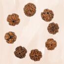 4 Mukhi Nepali Rudraksha For Men & Women