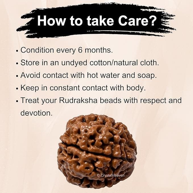 4 Mukhi Nepali Rudraksha For Men & Women - Image 4