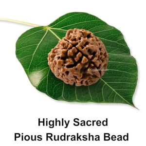 4 Mukhi Nepali Rudraksha For Men & Women