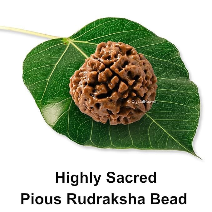 4 Mukhi Nepali Rudraksha For Men & Women
