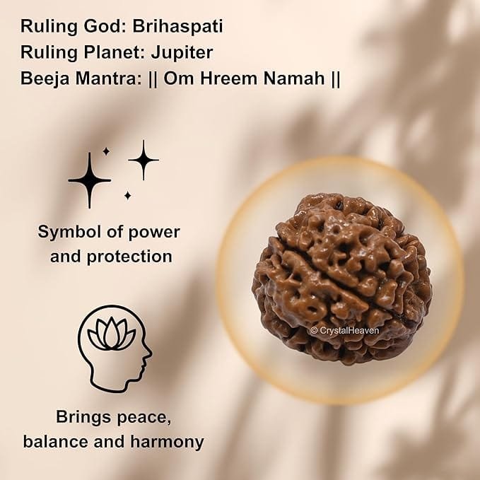 4 Mukhi Nepali Rudraksha For Men & Women - Image 6