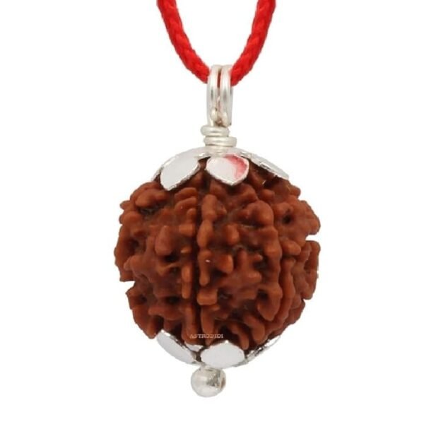 4 Mukhi Napali Rudraksha Pandant For Man And Woman - Image 4