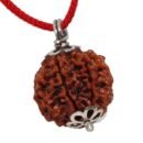 4 Mukhi Napali Rudraksha Pandant For Man And Woman