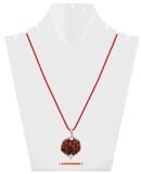 4 Mukhi Napali Rudraksha Pandant For Man And Woman