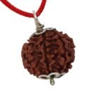 4 Mukhi Napali Rudraksha Pandant For Man And Woman