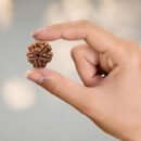5 Mukhi Nepali Rudraksha For Men & Women