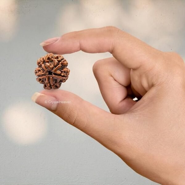 5 Mukhi Nepali Rudraksha For Men & Women - Image 3
