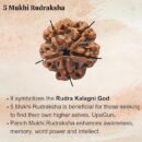 5 Mukhi Nepali Rudraksha For Men & Women