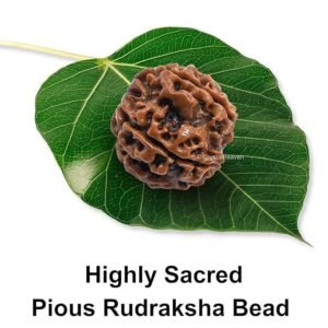5 Mukhi Nepali Rudraksha For Men & Women