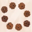 5 Mukhi Nepali Rudraksha For Men & Women