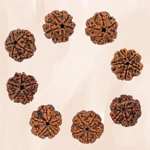 5 Mukhi Nepali Rudraksha For Men & Women - Image 6