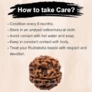 5 Mukhi Nepali Rudraksha For Men & Women