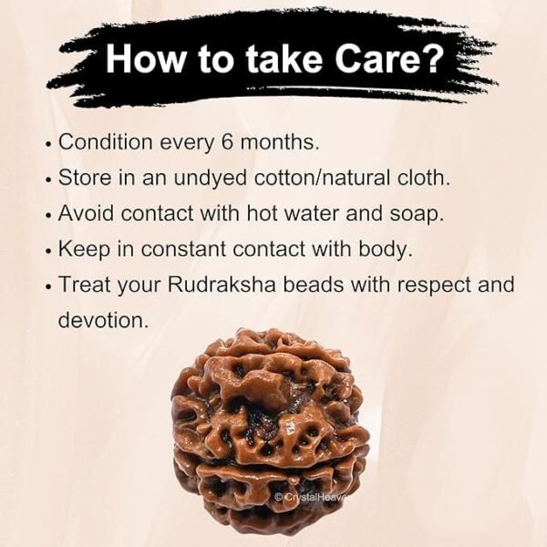 5 Mukhi Nepali Rudraksha For Men & Women - Image 5