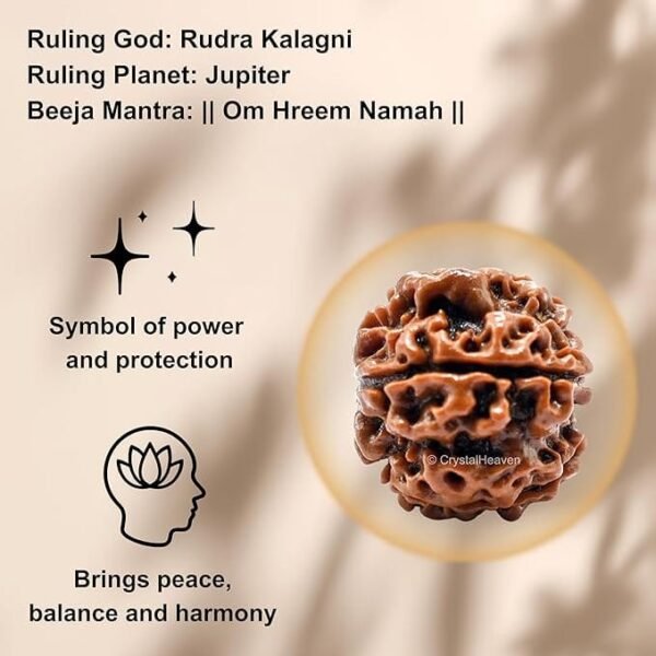 5 Mukhi Nepali Rudraksha For Men & Women - Image 7