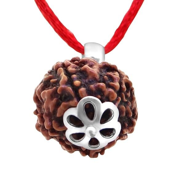 5 Mukhi Rudraksha Pendant Lab Certified Nepali Five Mukhi Original Certified 5 Mukhi Rudraksha Pendant with Red Thread for Men and Women, Origin Nepal, Color Brown - Image 2