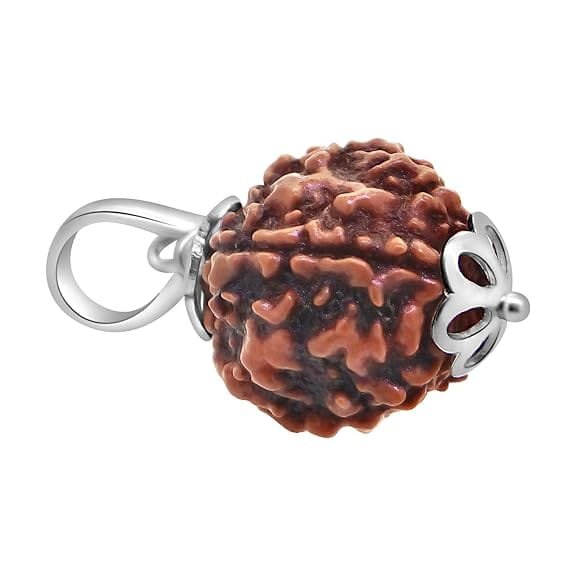 5 Mukhi Rudraksha Pendant Lab Certified Nepali Five Mukhi Original Certified 5 Mukhi Rudraksha Pendant with Red Thread for Men and Women, Origin Nepal, Color Brown - Image 4