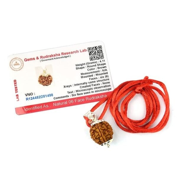 6 Mukhi Napali Rudraksha Pandant For Man And Woman - Image 4