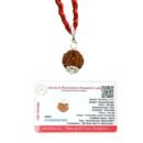6 Mukhi Napali Rudraksha Pandant For Man And Woman
