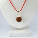 6 Mukhi Napali Rudraksha Pandant For Man And Woman