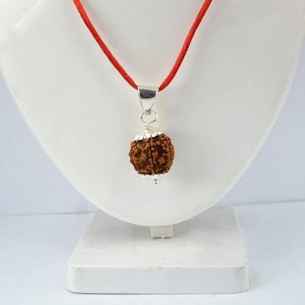 6 Mukhi Napali Rudraksha Pandant For Man And Woman
