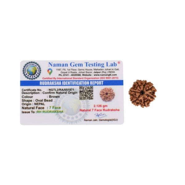 7 Mukhi Nepali Rudraksha For Men & Women - Image 6