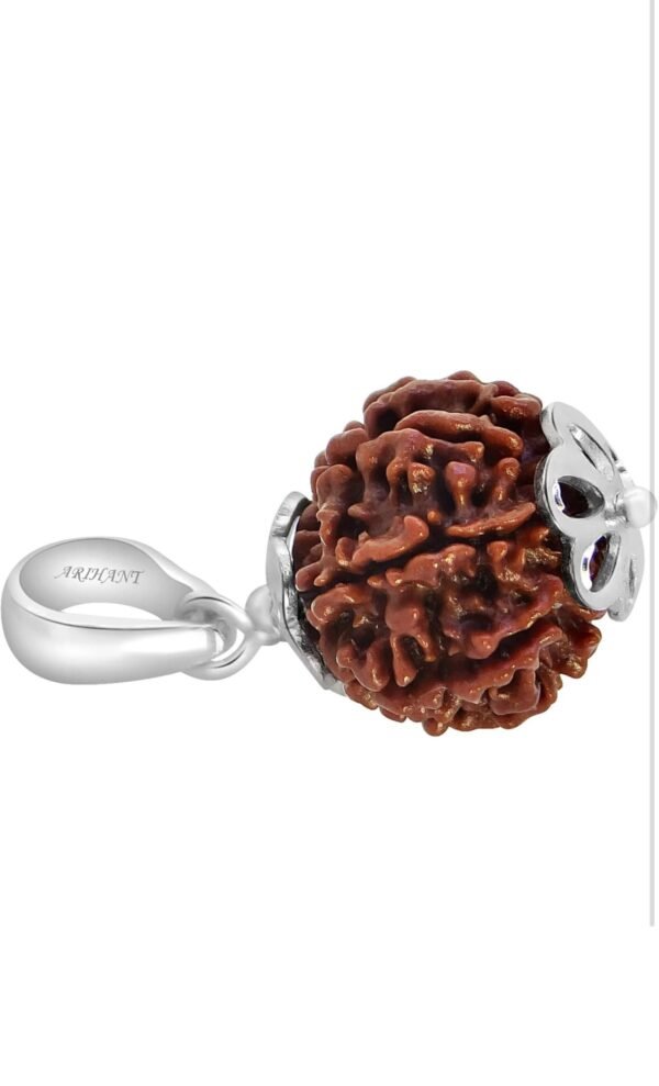 7 Mukhi silver Rudraksh Pendant For Man And Woman - Image 3