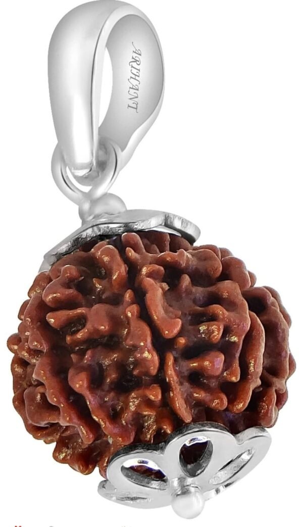 7 Mukhi silver Rudraksh Pendant For Man And Woman - Image 2