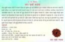 8 Mukhi Nepali Rudraksha For Men & Women