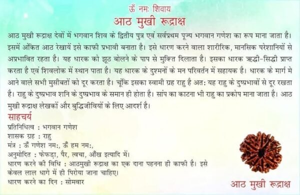 8 Mukhi Nepali Rudraksha For Men & Women - Image 5