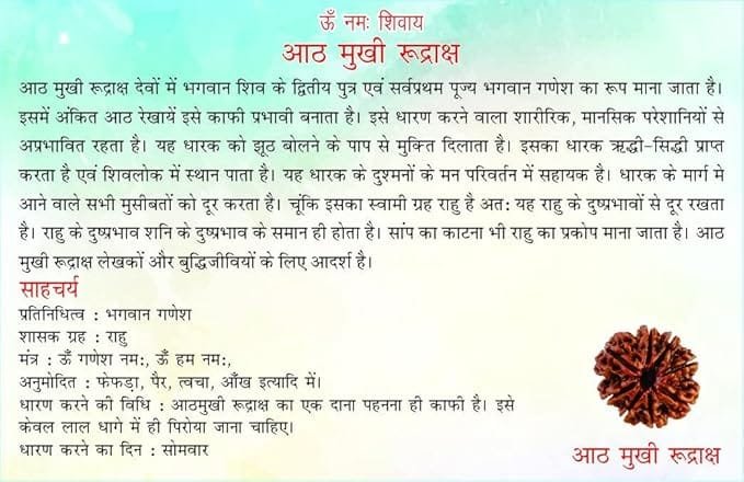 8 Mukhi Nepali Rudraksha For Men & Women - Image 5