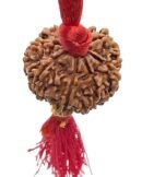 8 Mukhi Nepali Rudraksha For Men & Women