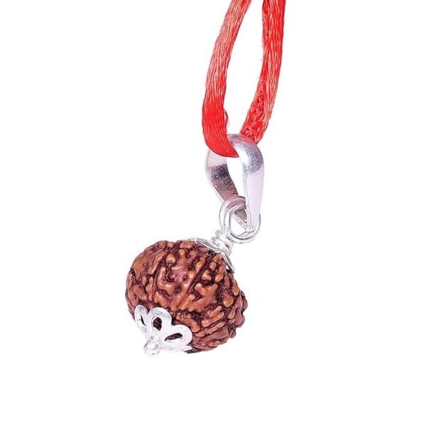 8 Mukhi Napali Rudraksha Pandant For Man And Woman - Image 4