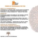 8 Mukhi Napali Rudraksha Pandant For Man And Woman
