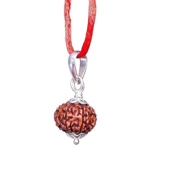 8 Mukhi Napali Rudraksha Pandant For Man And Woman - Image 2