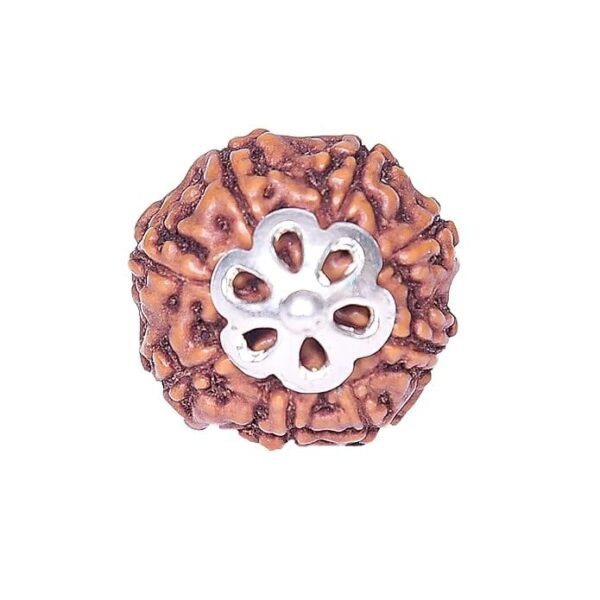 8 Mukhi Napali Rudraksha Pandant For Man And Woman - Image 3