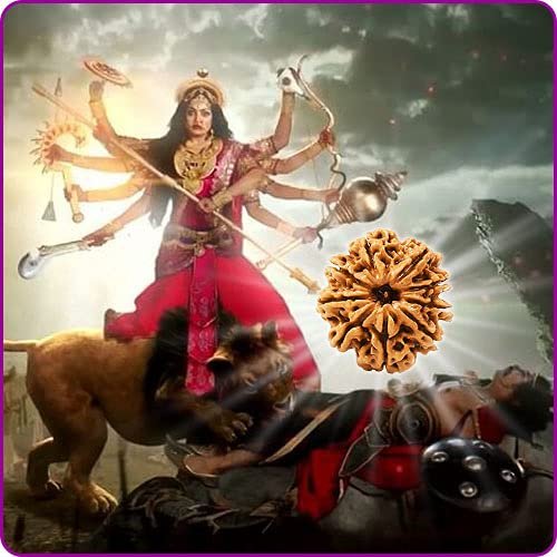 9 Mukhi Nepali Rudraksha For Men & Women - Image 4