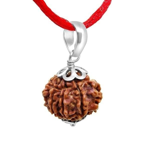 9 Mukhi Napali Rudraksha Pandant For Man And Woman - Image 3