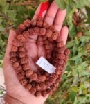 Rudhraksha Mala 109 Beads LAB Certified