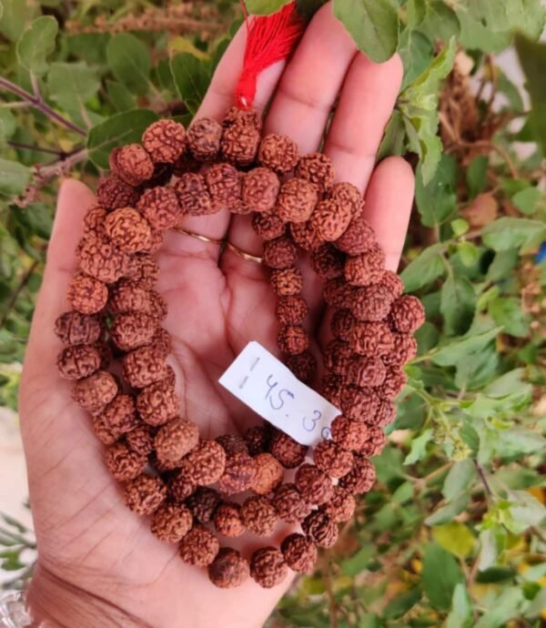 Rudhraksha Mala 109 Beads LAB Certified - Image 5