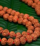 Rudhraksha Mala 109 Beads LAB Certified
