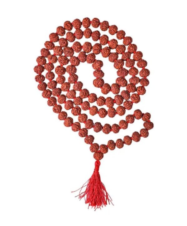 Rudhraksha Mala 109 Beads LAB Certified - Image 9