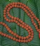 Rudhraksha Mala 109 Beads LAB Certified